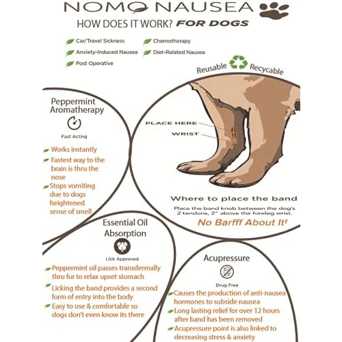 Anti Nausea for Dogs | M-L Dogs & Sick Puppy Band | NoMo Nausea Dog Bracelet - Image 4